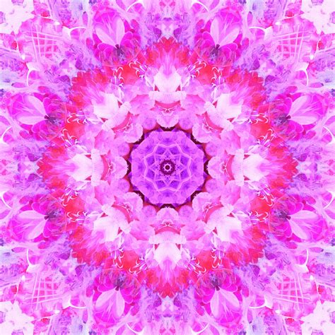 Pink Abstract Floral Background Free Stock Photo Public Domain Pictures