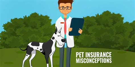 Maybe you would like to learn more about one of these? 7 Pet Health Insurance Misconceptions - And Why You're Wrong!