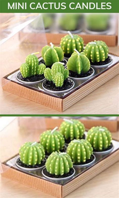 Fertilize mini cacti every other month in spring and summer. Mini Cactus Candles in 2020 | Cactus candles, Mini cactus ...