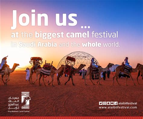 We got luckythe king abdullaziz camel festival is the largest camel festival in the world and took place in 2017 in rumah. King Abdulaziz Camel Festival on Behance