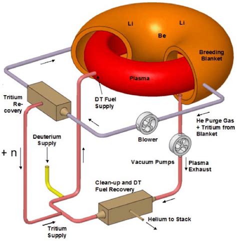 Fusion Reactor Diagram