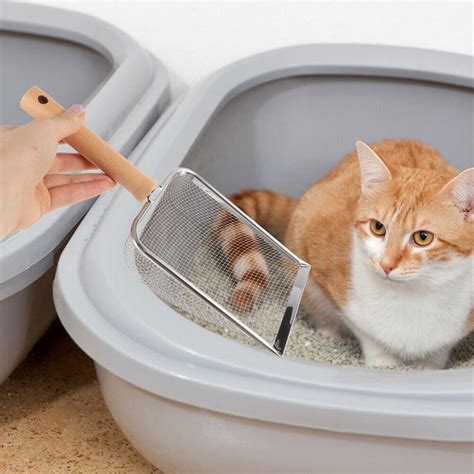 Stainless Steel Cat Litter Scoop For Poop Scooper Reptile Garbage Ebay