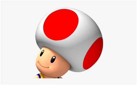 Toad Mario Transparent Png 430x430 Free Download On Nicepng