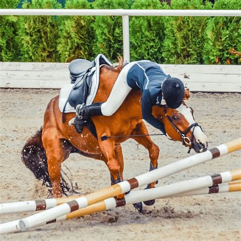 Horse Jumping How To Master Jumping While Minimizing Fall Risk