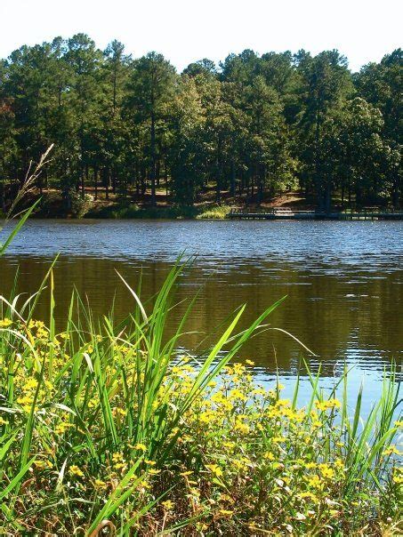 Valentine Lake Trail Kisatchie National Forest Pack And Paddle