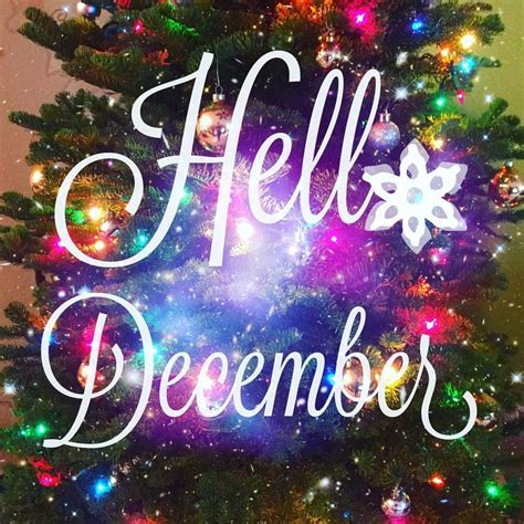 Hello December | Hello december, Christmas time, Neon signs
