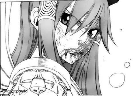 Erza In Armor Of Nakagami Starlight Fairy Tail Manga Fairy Tail