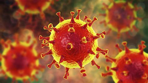 Killer Coronavirus Outbreak Fears As Man 28 Gets Struck Down With