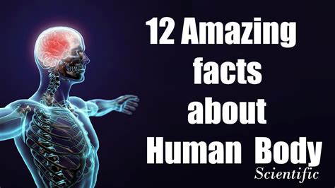 12 Amazing Facts About Human Body Proof That We Are Amazing Youtube