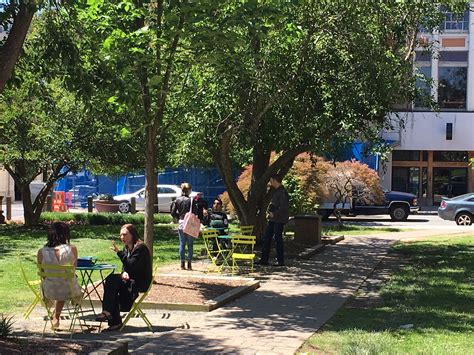 Today, garden supply company celebrates over 20 years of growth and employs more than. Black Wall Street Gardens Improvements | Durham, NC