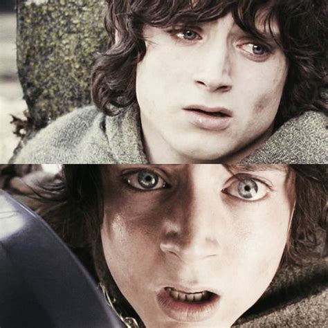 My Frodo