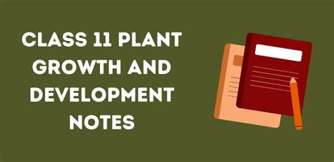 Updated Cbse Class 11 Plant Growth And Development Notes Biology