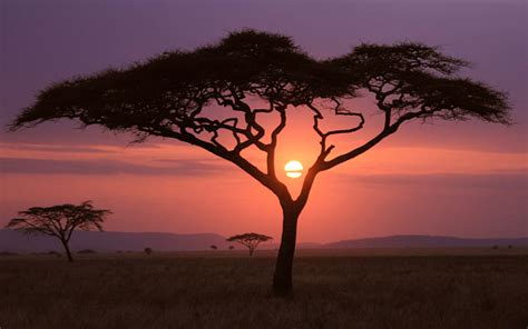 Sunset Africa Nature Landscape Hd Wallpaper Wallpaperbetter