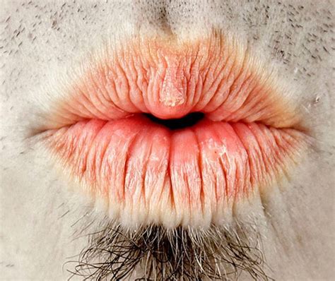 Человеческий рот крупным планом 17 фото Human Mouth Human Mouth