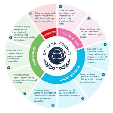 What Is The Un Global Compact Danesmead Esg