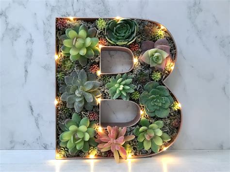 The Letter B Is Decorated With Succulents And Lights