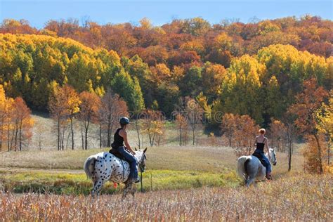 Horse Trail In Fall Colors Stock Photo Image Of Riding 43789418