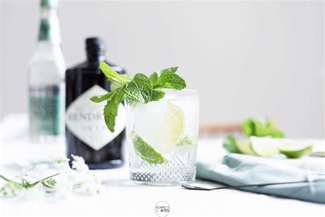 Pour one into a balloon glass if you must. GIN TONIC ELDERFLOWER MET LIMOEN EN MUNT - Blog over ...