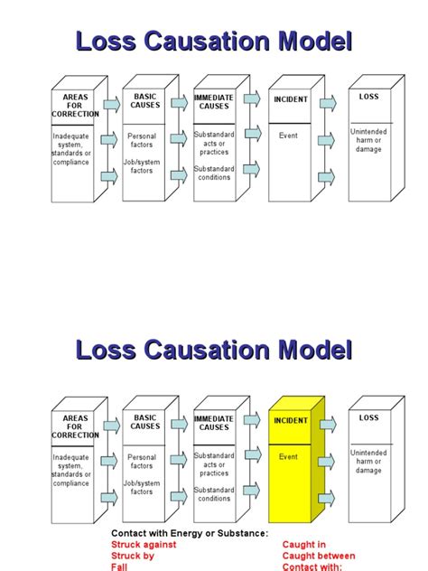 Loss Causation Model