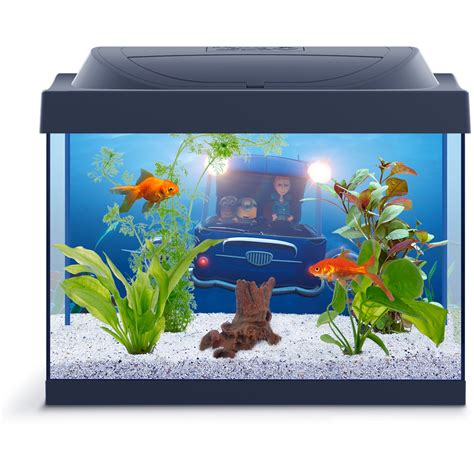 Aquarium Fish Tank Latar Belakang Transparan Png Play