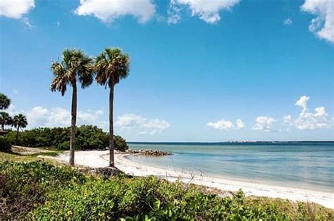 Park Clean Up At Picnic Island Beach Tampa