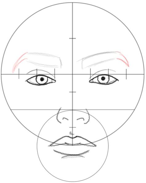 How To Draw A Face In Basic Proportions Drawing Beautiful Female Face