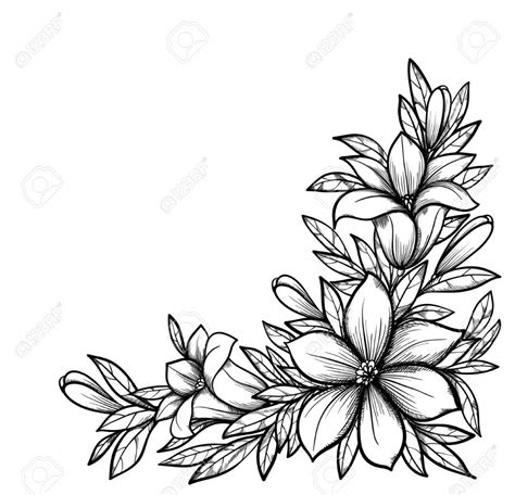 Tips and techniques to draw your favorite flower with many examples using pen and ink. flower drawing Photos beautiful drawing images of flowers ...
