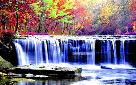 Hd Autumn Forest Falls Wallpaper Download Free 66063