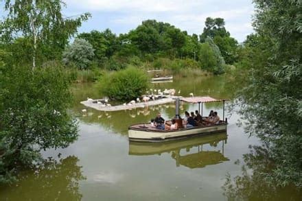 Gehen sie auf eine abenteuerliche expedition in alaska wo sie luchse. ZOOM Erlebniswelt Gelsenkirchen (Zoo) in Gelsenkirchen ...
