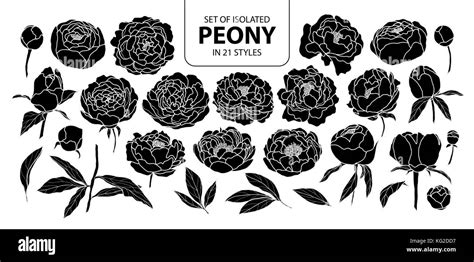 Set Of Isolated Silhouette Peony In 21 Styles Cute Hand Drawn Flower