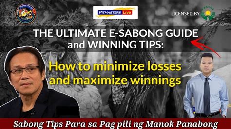 The Ultimate Sabong Guide And Winning Tips Youtube