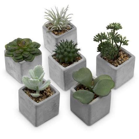 Artificial Mini Succulent And Cactus Plants With Gray Cement