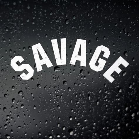 Savage Race Logo