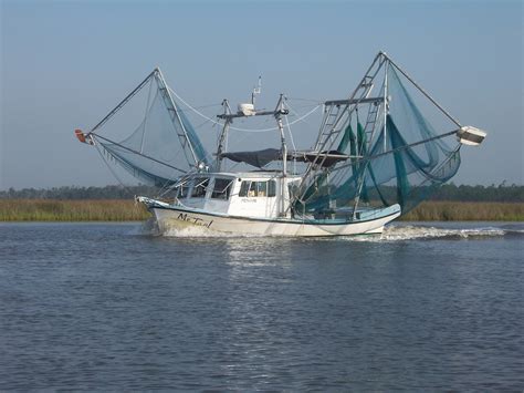 Maximum of two shrimp pots per person and no more than four shrimp pots per boat. State of Florida Ices Shrimp Rule - Southeast AgNET
