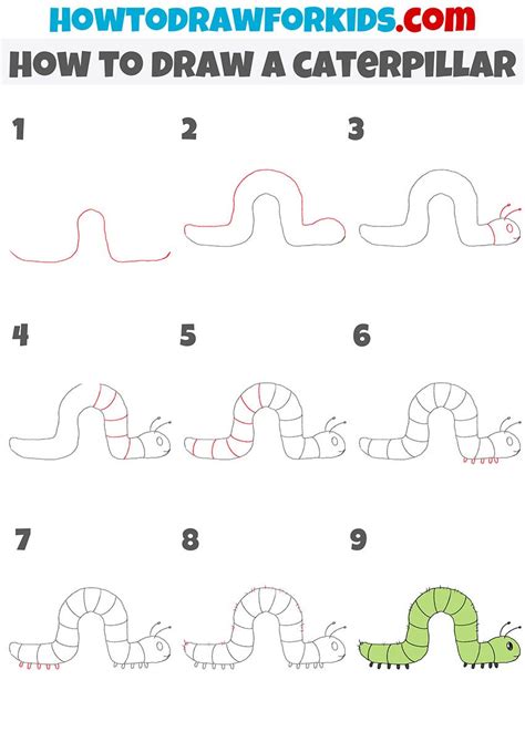 How To Draw A Caterpillar Artofit