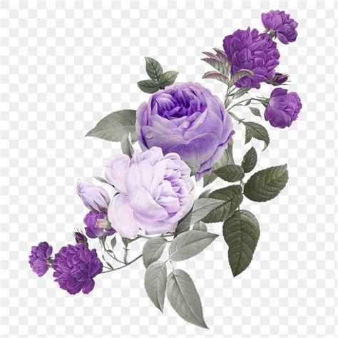 Purple Png Roses Flower Bouquet Vintage Hand Drawn Sticker Free Image