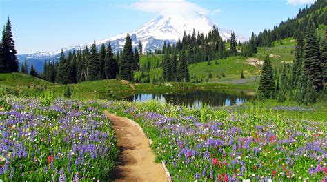 7 Best Wildflower Trails And Spring Hikes In The Us Therm A Rest Blog