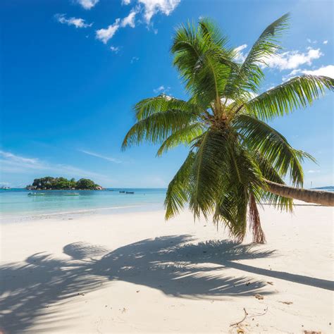 The mission of the united states embassy is to advance the interests of the united states, and to serve and protect u.s. Cheap Flights To Comoros: The Best Tickets - Travelstart ...