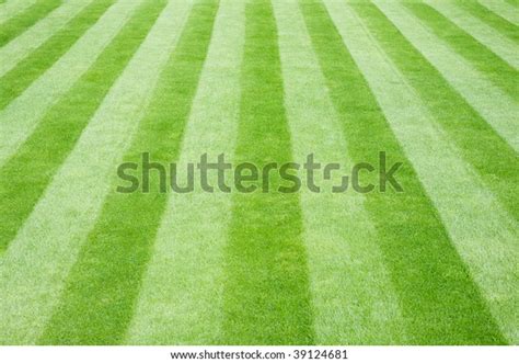 Perfectly Striped Freshly Mowed Garden Lawn Stock Photo 39124681