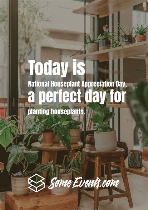 National Houseplant Appreciation Day Messages And Quotes Indoor Places Today Is National A