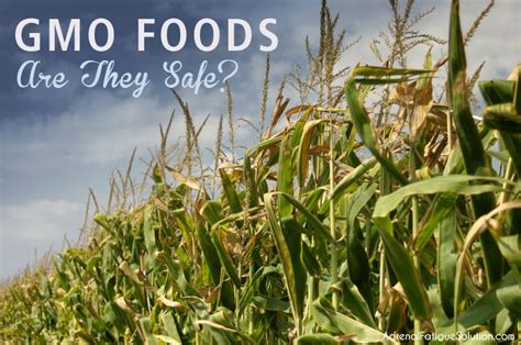 Gmo Foods We Still Dont Know If Theyre Safe Gmos Infographic Gmo
