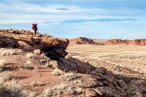 Painted Desert Camping Guide: Camping in Petrified Forest National Park