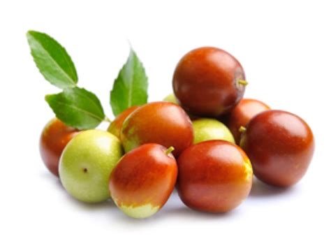 Jujube Nutrition Facts