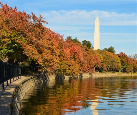 Where To Enjoy The Fall Foliage Around Washington Dc Dc Photography