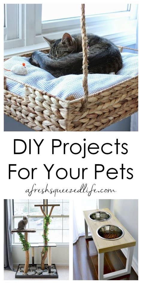 Diy Projects For Pets Diy Projects Pet Diy Projects Diy Home Decor