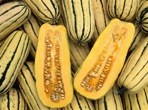 Can You Eat The Skin On All Types Of Squash Butternut Squash Noodle