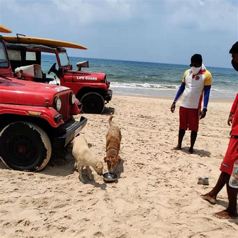 Car owners who're making a REAL difference with their cars during the