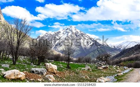 Beautiful Snowy Mountain Green Hills Leafless Stock Photo Edit Now