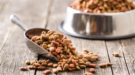 A 4lb bag of kibble has approximately 16 cups of kibble inside. Can Humans Eat Dog Food?