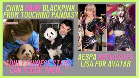 Lisa Is An Aespa Avatar Blackpink Get Backlash For Touching Pandas